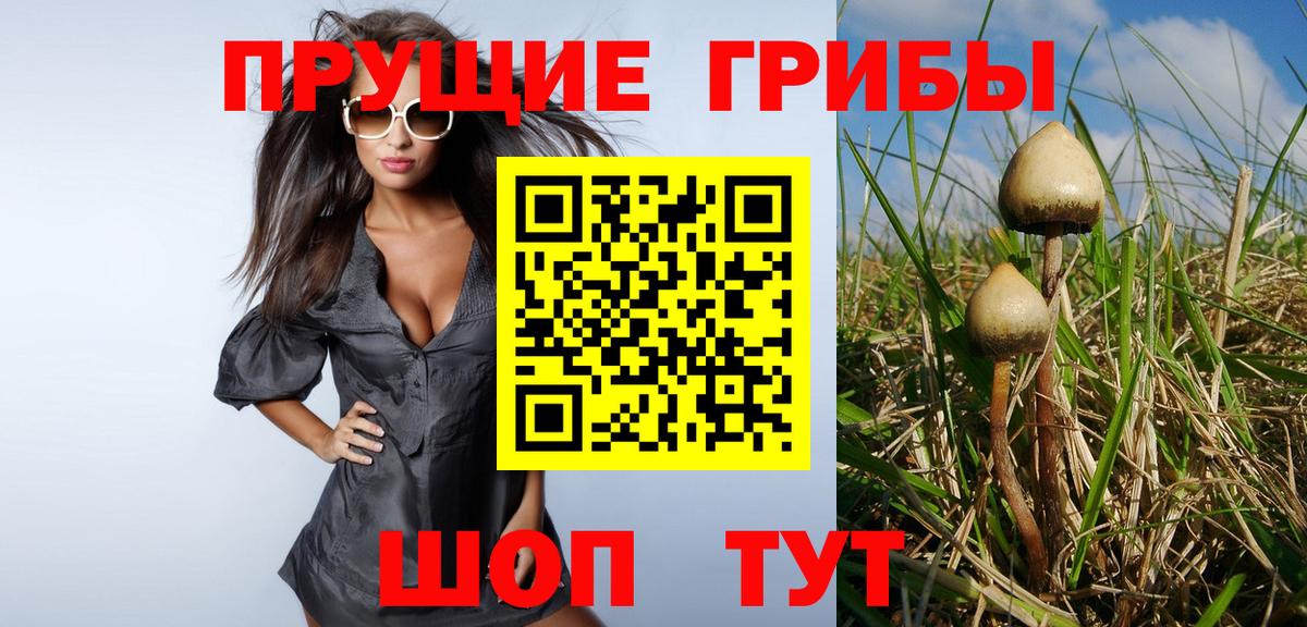 Рассказово  Галлюциногенные грибы Magic Shrooms  Вход с VPN 