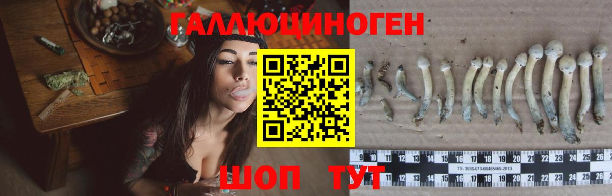 Псилоцибиновые грибы MAGIC MUSHROOMS Рассказово